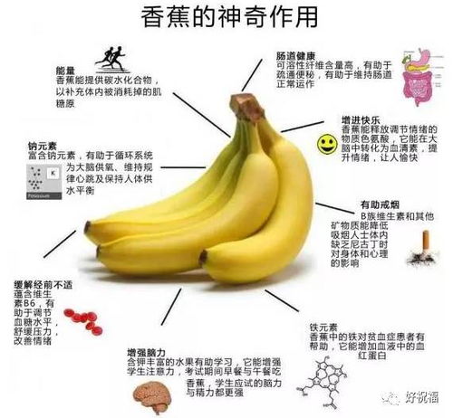 香蕉丛林探秘：解锁咚奇刚蕉全新获取秘籍