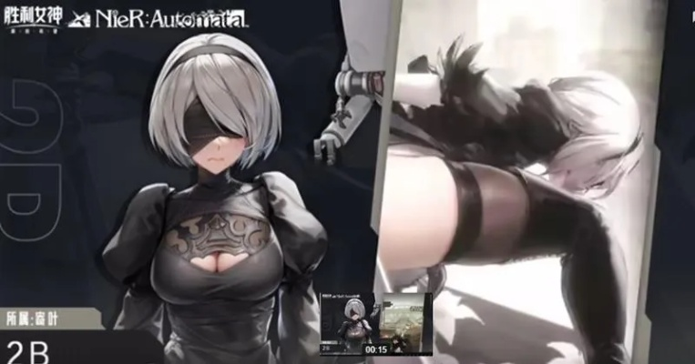 《胜利女神新篇》2B技能深度剖析：打造最强配队攻略，解锁全新战术价值