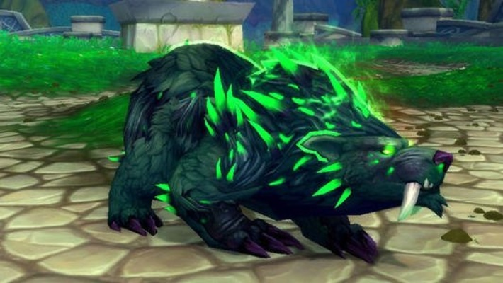 德鲁伊毒拍熊BD攻略：深度解析第九赛季新战术精髓