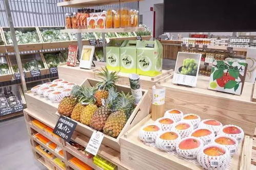 菜市场攻略：破解堆叠碰撞，员工招聘与酿酒器高效运用技巧