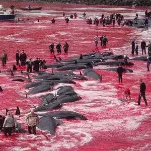 《死亡搁浅2》支线任务攻略：深度解析123订单新玩法