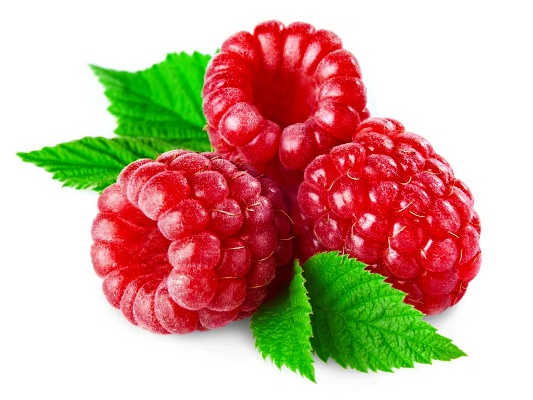 色彩揭秘：识别PEAK中可食用树莓的奥秘