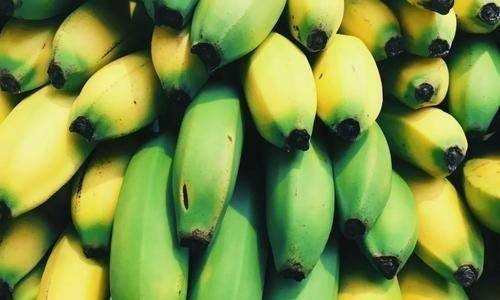 香蕉色彩揭秘：探寻PEAK中可食用香蕉的秘密