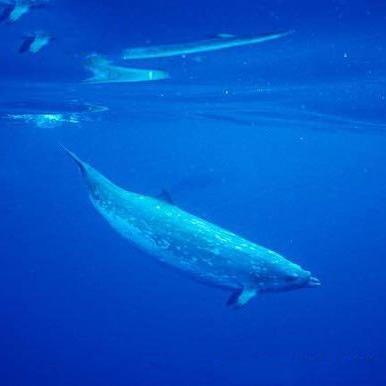 《死亡搁浅2》南部观测站揭秘：解锁攻略与环境等级奖励一览