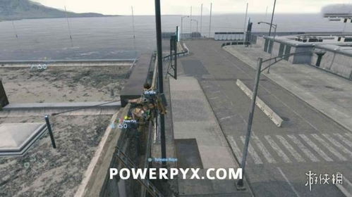 开罗尔桥梁高效攻略：掌握独特搭建技巧