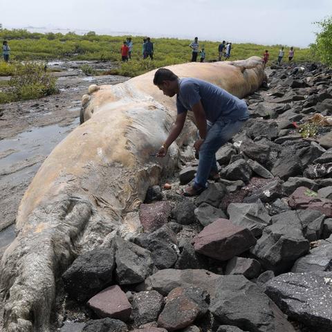 气温影响揭秘：深度解析《死亡搁浅2》温度负面效应新策略