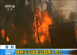 《死亡搁浅2》狂风肆虐：揭秘强风带来的全新挑战与影响