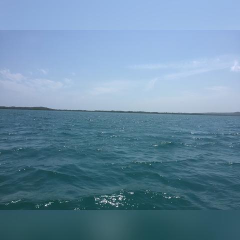 洛彩蛋揭秘：揭秘《死亡搁浅2》中的神秘天使新价值