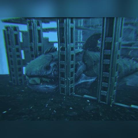 《水晶世界》采集达人速成攻略：高效练级新秘籍