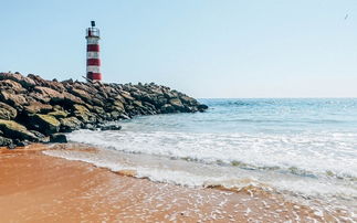 冰封海岸探秘：匹诺曹圆盘藏匿之谜揭晓