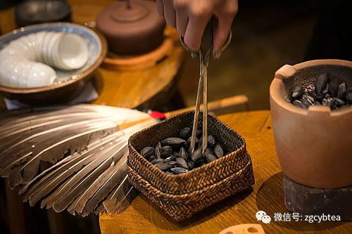 《幻想生活i》平底锅熟成秘籍大公开，解锁烹饪新境界