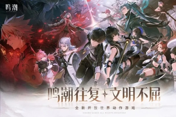 《鸣潮》2.4全角色实力巅峰揭秘：全新价值词解析