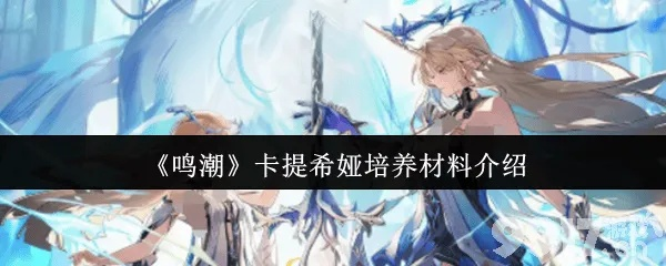 《鸣潮》卡提希娅声骸升级攻略：打造全新音效搭配秘籍