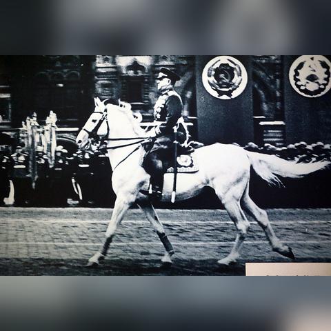 解锁《胜利女神新的希望》白色记忆全结局：揭秘全新攻略秘籍