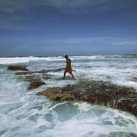 《莱恩岛生存攻略》预购福利揭秘，版本差异深度解析