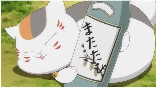 《夏目友人帐》猫咪老师藏匿之谜，探秘叶月之记新线索