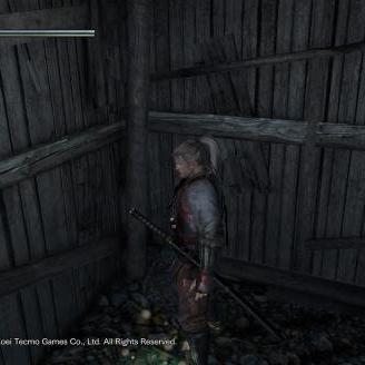 《仁王3》体验版下载攻略：独家揭秘Demo获取途径