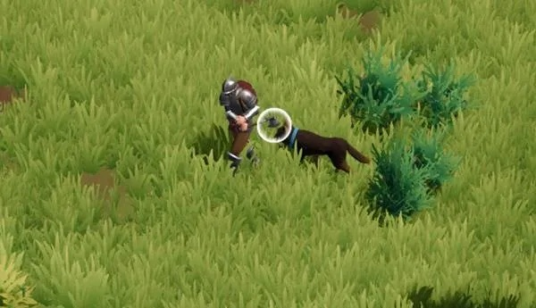 莱恩岛生存攻略：新手必看，高效生存技巧解析