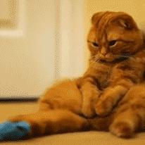 高效攻略：幻想生活i刷栗子新技巧，轻松提升收益