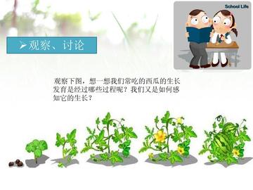 农作物快速生长秘籍：揭秘幻想生活i新法则