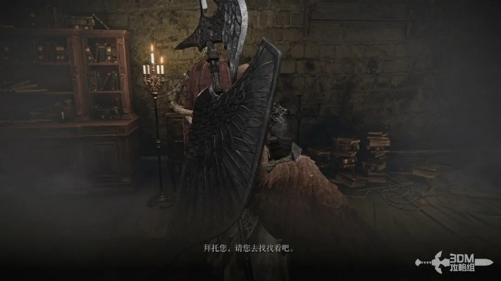 艾尔登法环黑夜君临回血流执行者攻略：深度解析全新玩法技巧