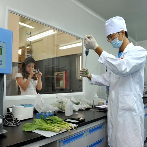 炎之魔力结晶获取攻略：高效获取新技巧揭秘