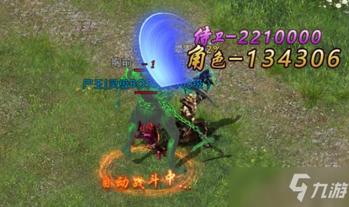 《艾尔登法环黑夜君临攻略》深度解析：守护者玩法技巧与优劣全揭秘