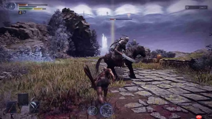 《艾尔登法环黑夜君临无赖攻略：深度解析玩法技巧与优劣》