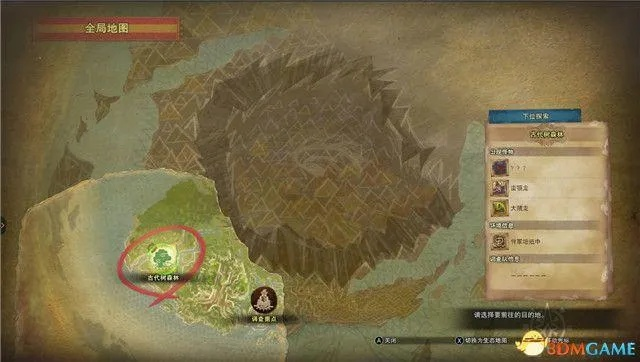 托恩特秘境探秘：揭秘大树神秘位置