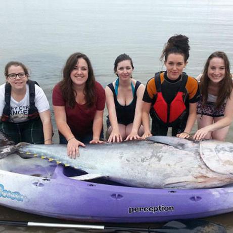 熔岩鲔鱼位置攻略：鱼鳍获取新途径大揭秘