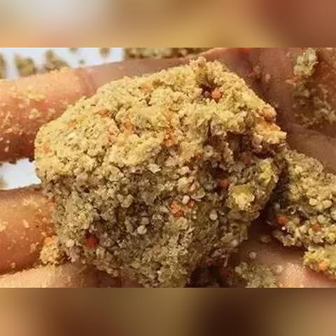 《钓鱼哥冒险攻略》揭秘：版本差异与配置推荐一览