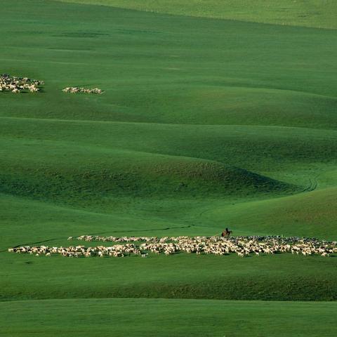 无垠大陆探秘：幻想生活i全点位深度解析
