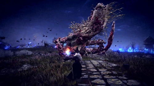 探索隐士奥秘，解锁《艾尔登法环》黑夜君临新境界