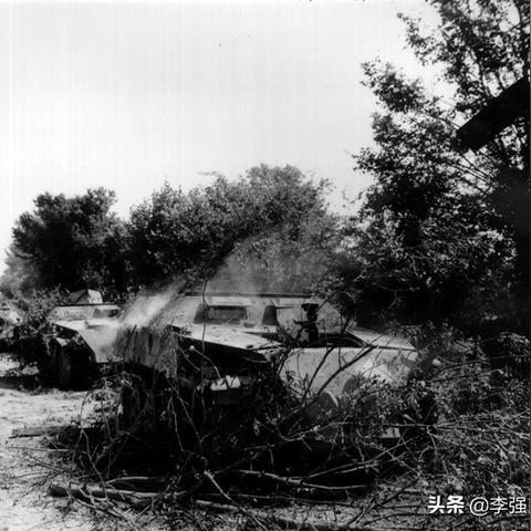 暗影海滩全攻略：33号远征队暗影宝藏秘籍大揭秘