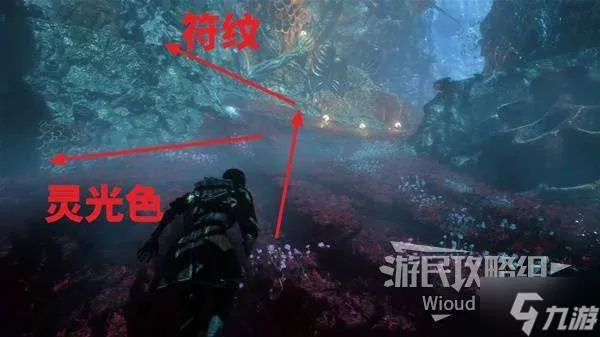 探天攻略揭秘：光与影33号队全收集秘籍攻略