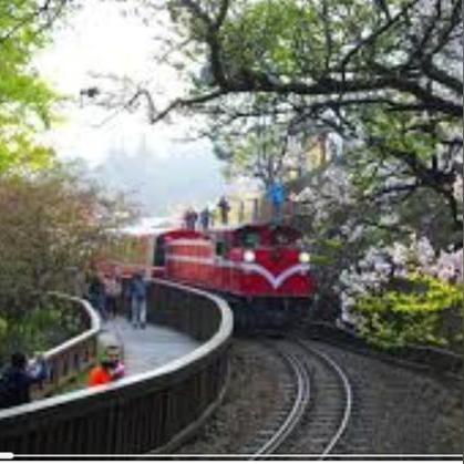 《崩坏星穹铁道》风堇养成秘籍：高效提升攻略解析