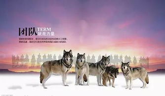 《饿狼传说群狼之城》安全跳攻略：深度解析技巧与实战价值