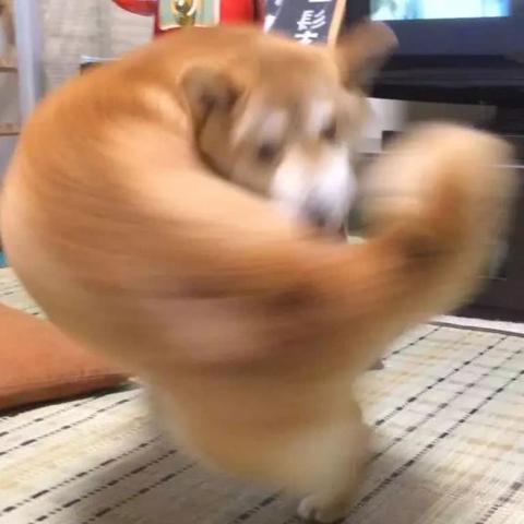 幻想生活i高效赚钱攻略：转圈龙偷时少女快速致富秘籍