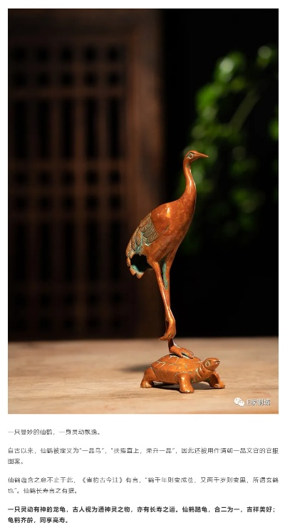 《吾今有世家》长寿秘籍：解锁龟年鹤寿新境界