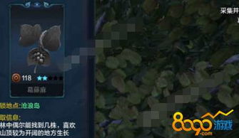 《绝区零》雨果培养攻略：打造最强配队，解锁雨果潜能新境界