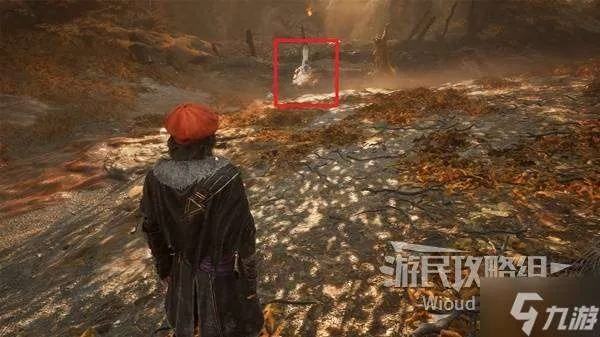 《光与影33号》落叶地全收集攻略，深度解析新技巧解锁秘籍