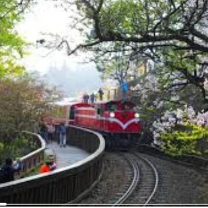 《崩坏星穹铁道》风堇抽选攻略：揭秘风堇抽取价值与推荐度