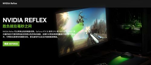 RTX2060标配，畅享《怪物猎人物语3》1080P极致画质体验