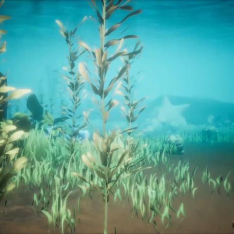 狂野星球复仇记深度解析：揭秘全新冒险乐趣值