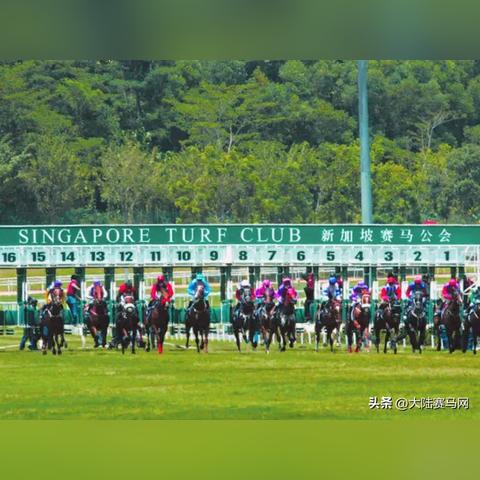 R星裁员风波引发行业地震，公会怒掀维权风暴