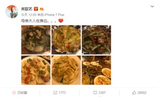 珍馐秘制！《原神》爱可菲料理至臻攻略，解锁珍上至珍美味秘诀