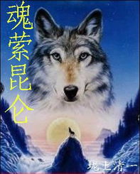 金东焕群狼之城揭秘：探寻饿狼传说新篇章