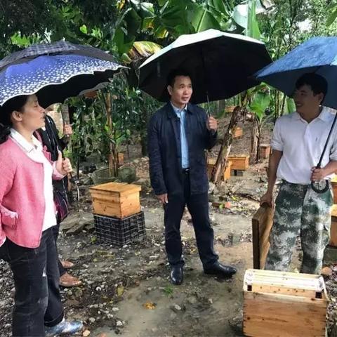 《光与影33号远征队》复活符纹攻略：揭秘高效获取新途径