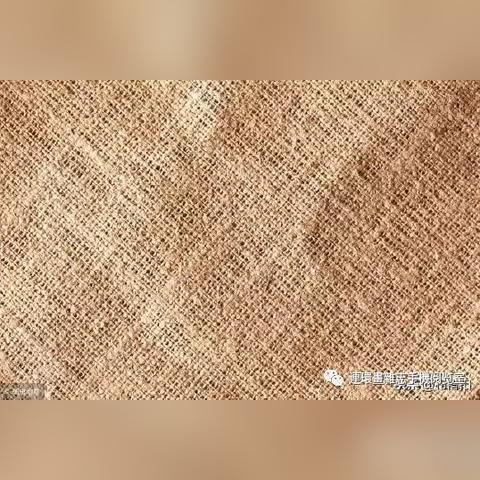 那刻夏装配队攻略：主C核心解析，提升强度新策略