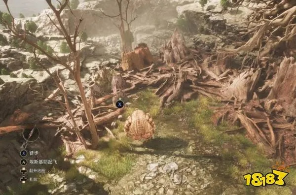 《光与影33号远征队》刷头精海岸攻略：全收集秘籍解锁